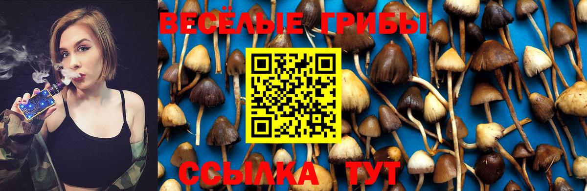 Галлюциногенные грибы Psilocybe Котельники