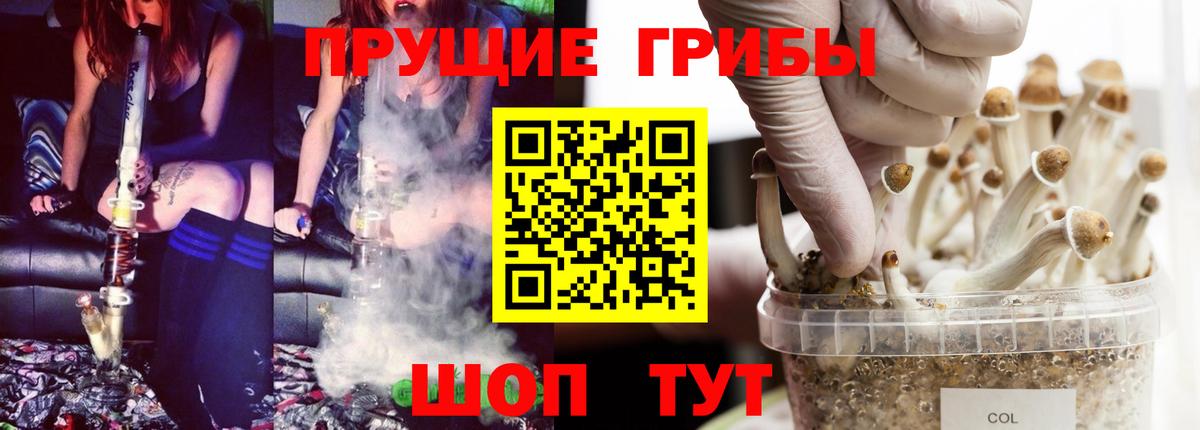 Котельники  Галлюциногенные грибы Psilocybe  Вход с VPN 